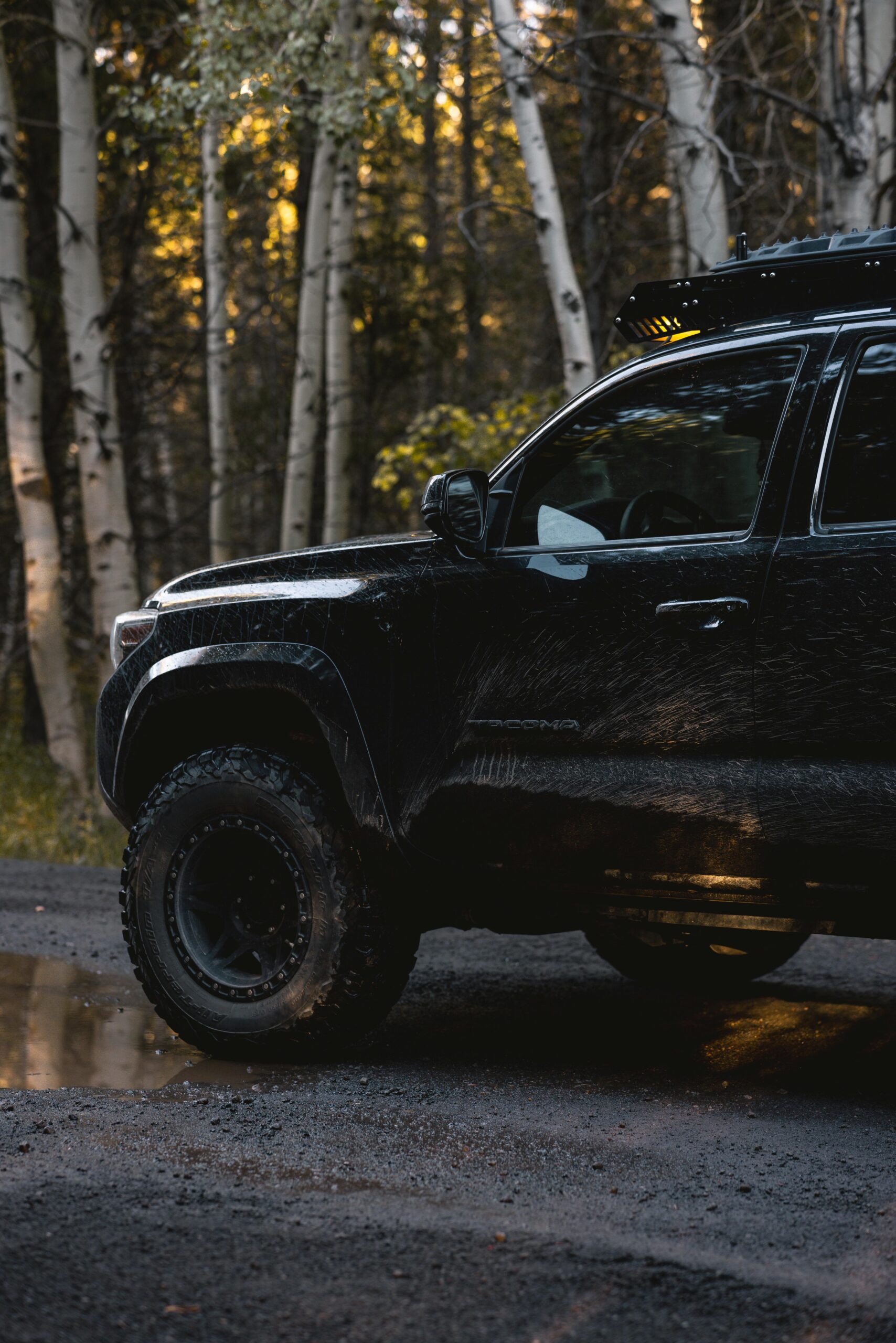 A rugged SUV navigates a forest trail during twilight, perfect for adventure enthusiasts.